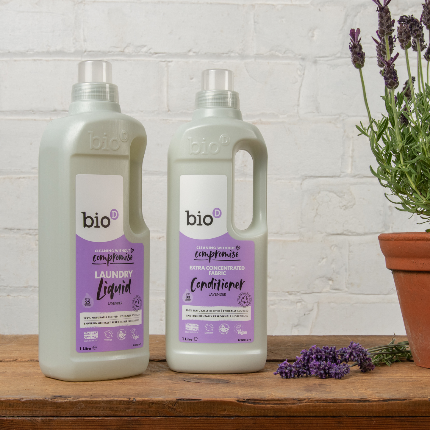 Laundry Liquid 12981B