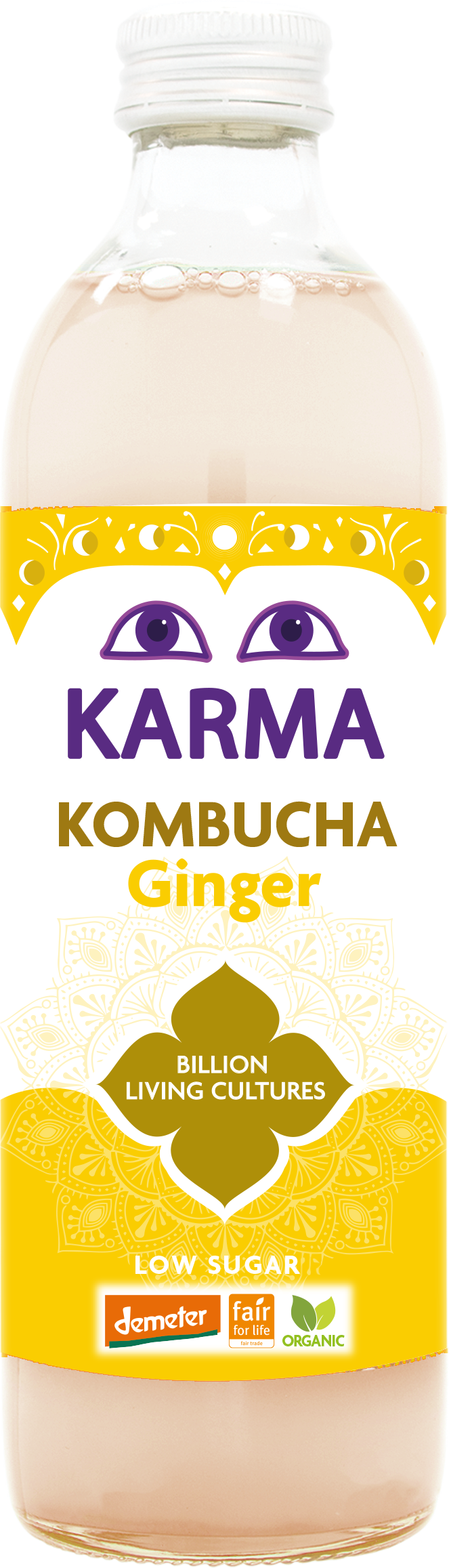 Raw Ginger Kombucha (Org) FT 40464A