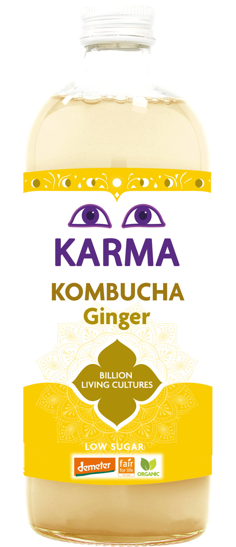 Raw Ginger Kombucha (Org) FT LARGE 43765A