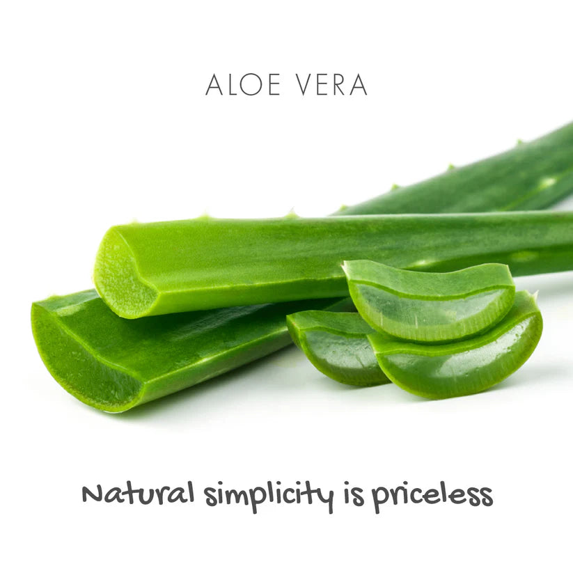 Aloe Vera Bar 46875B
