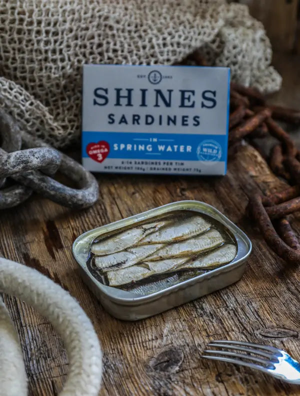 Wild Irish Sardines in Spring Water 48643B