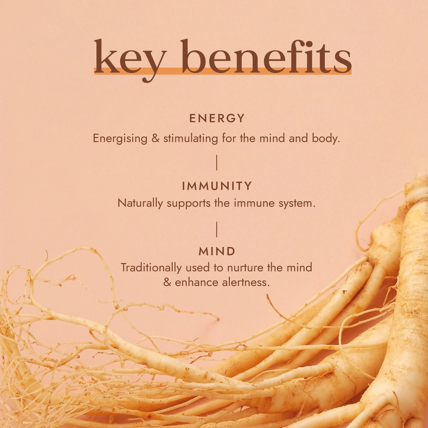 Red Ginseng (Org) 49346A