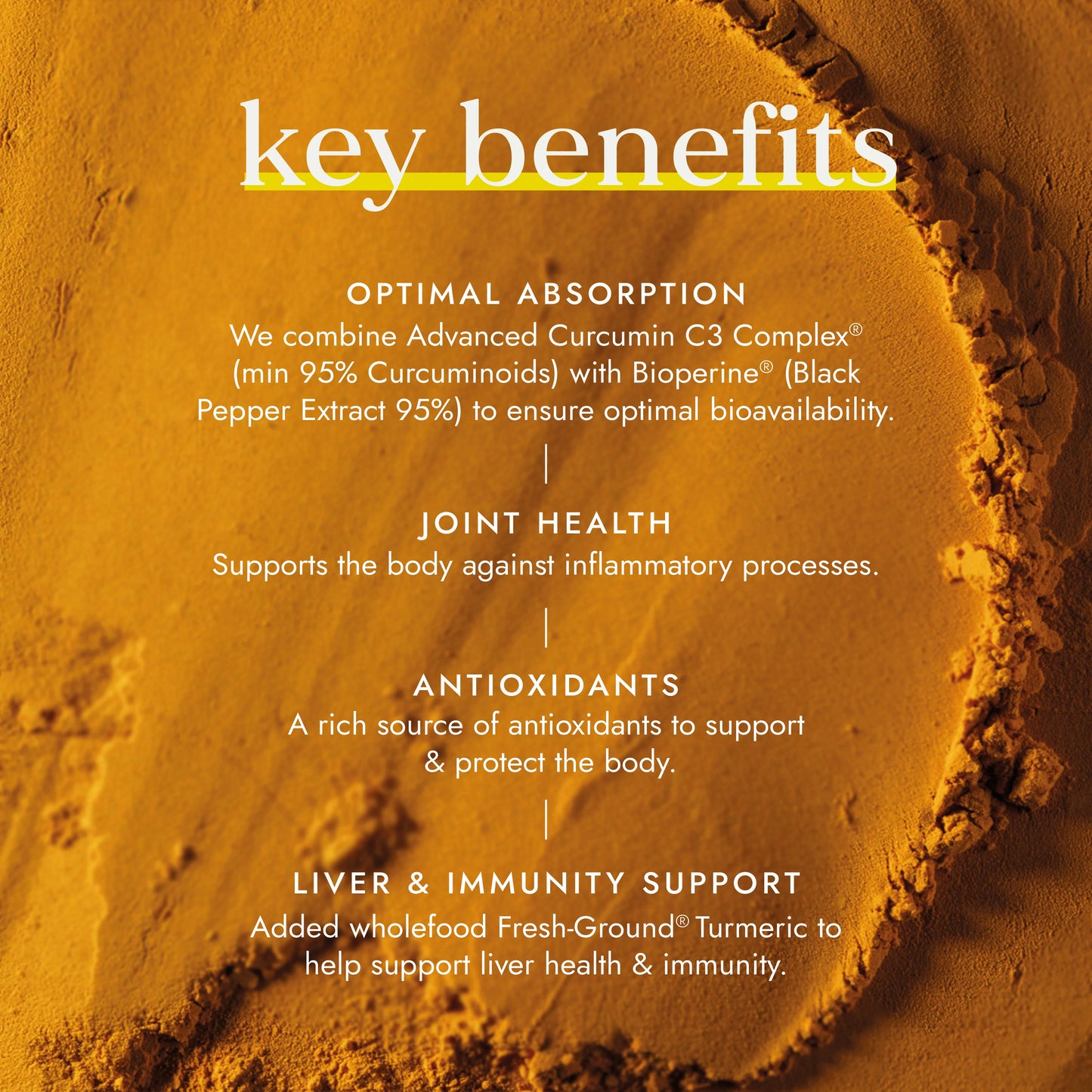 Turmeric C3 & Bioperine Extract 49347B