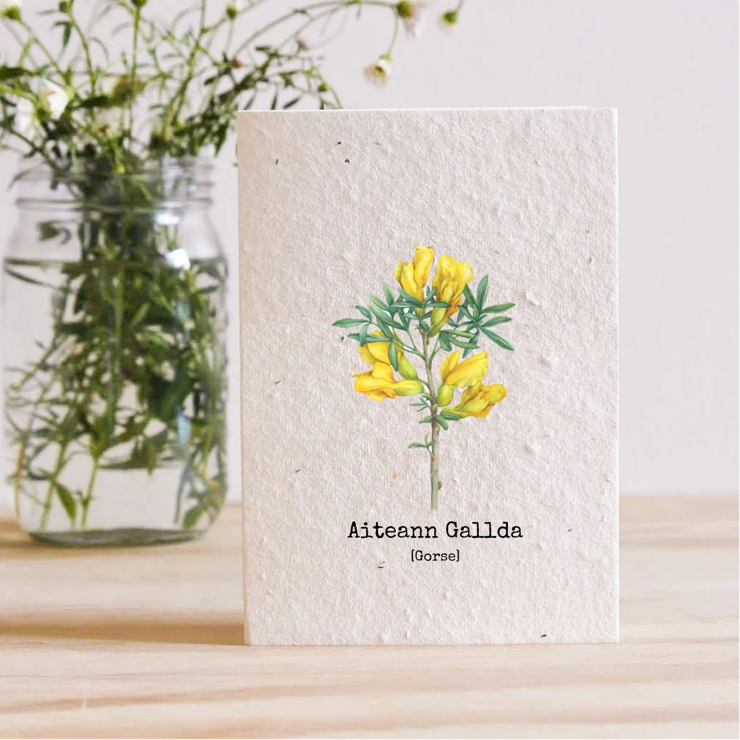 Gorse 50001B