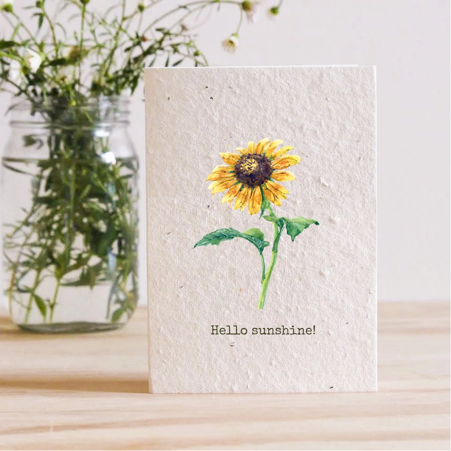 Hello Sunshine 50004B
