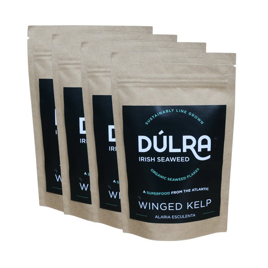 Winged Kelp Seaweed 50056B