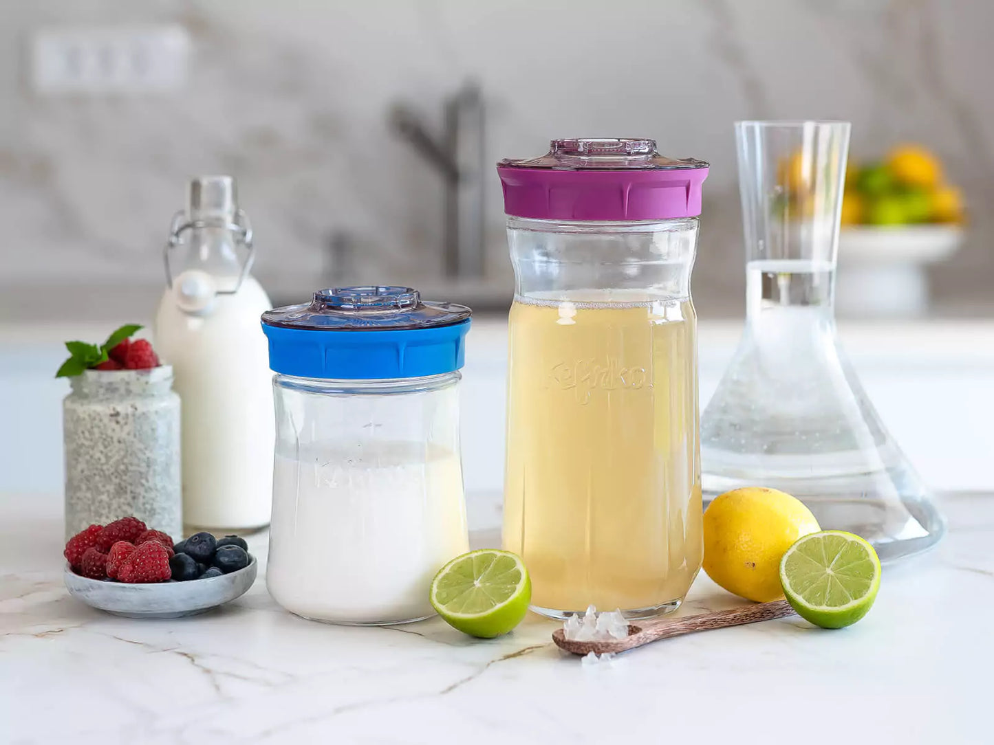 Kefir Fermenter 50340B