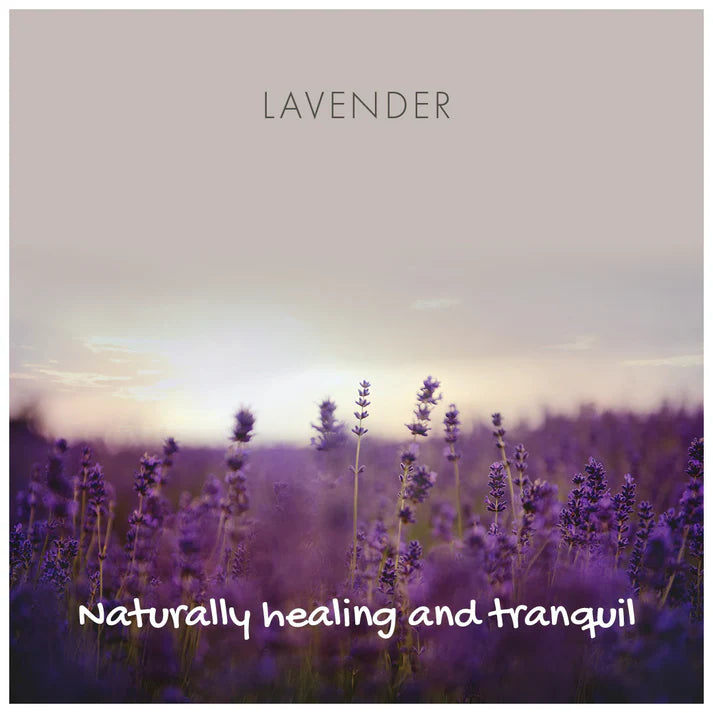 Lavender Natural Soap 50855B