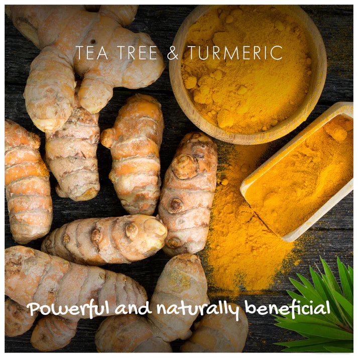 Tea Tree & Turmeric Bar 50858B