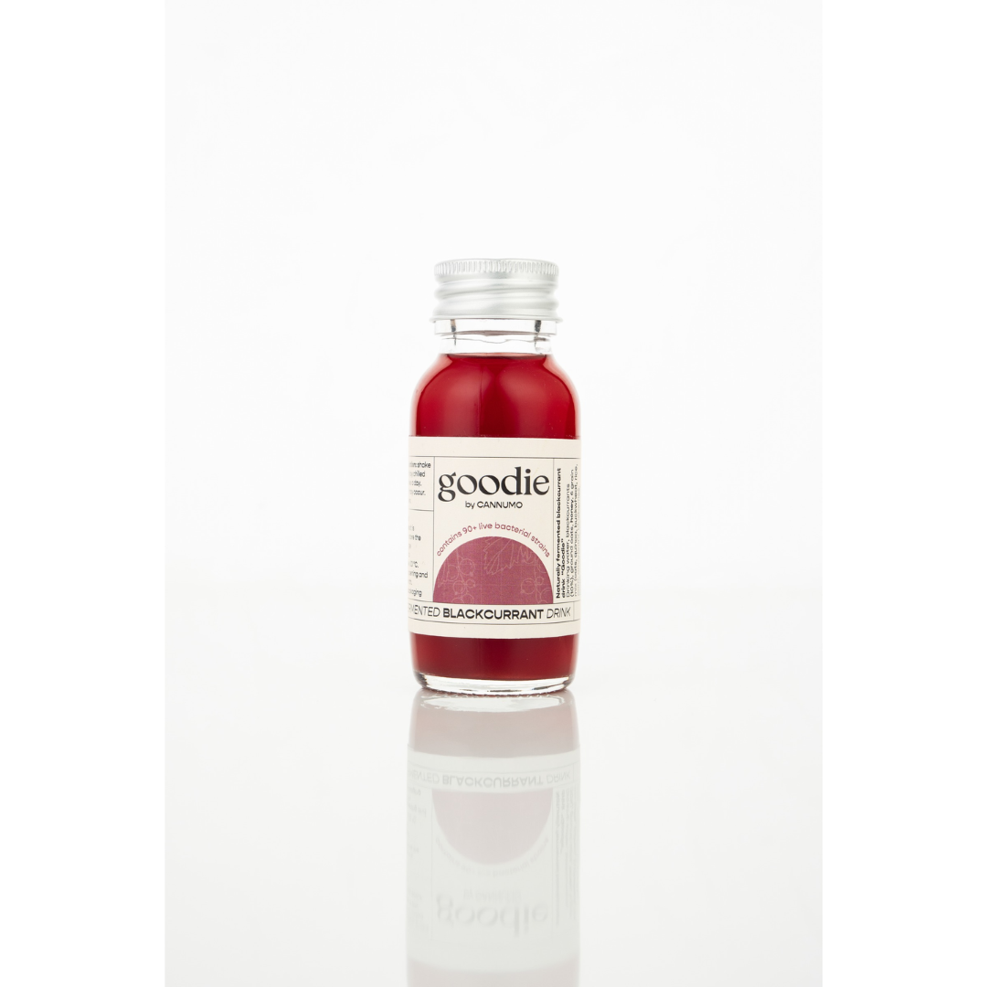 Fermented Blackcurrant Drink Small 51034B