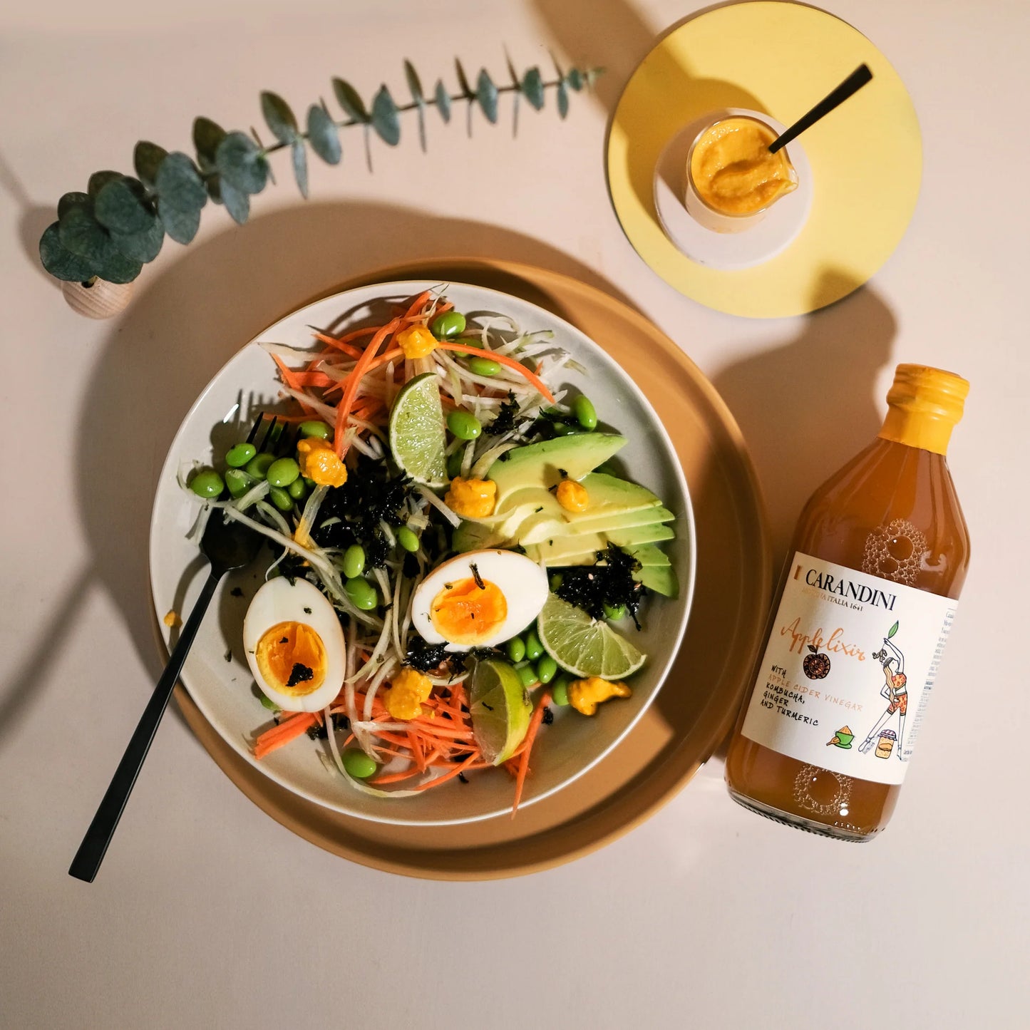 ACV + Kombucha Ginger & Turmeric 51192B