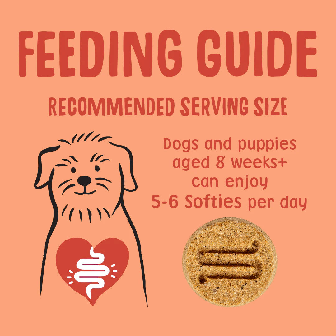 Chicken & Duck Softies 51304B