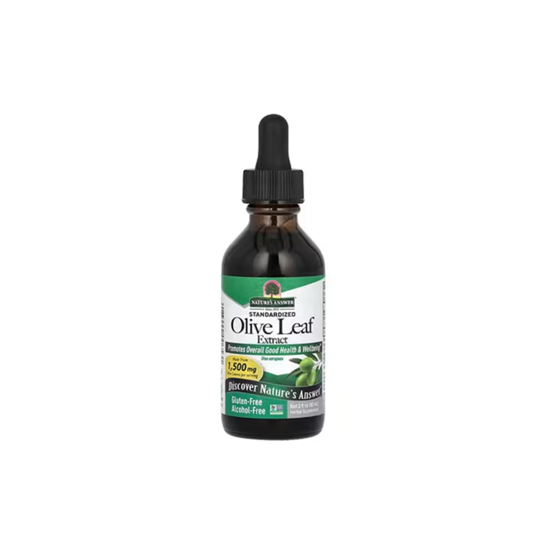 Olive Leaf 51924B