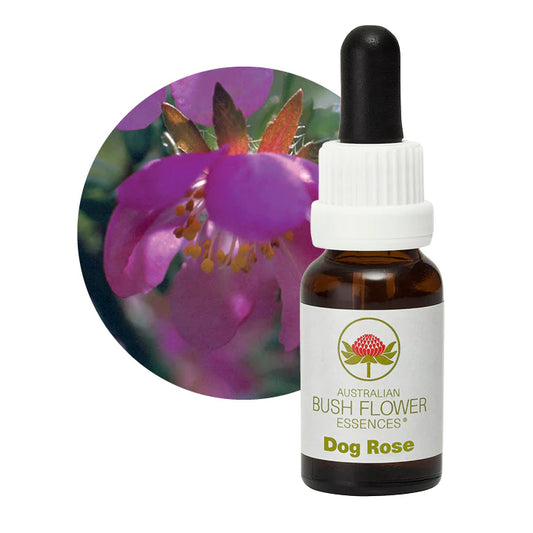Dog Rose 31130B
