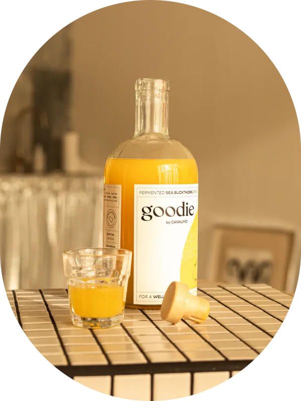 Fermented Sea Buckthorn Drink 51032B