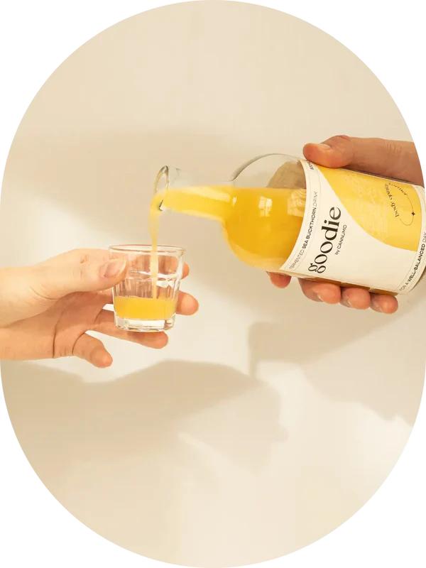 Fermented Sea Buckthorn Drink 51032B