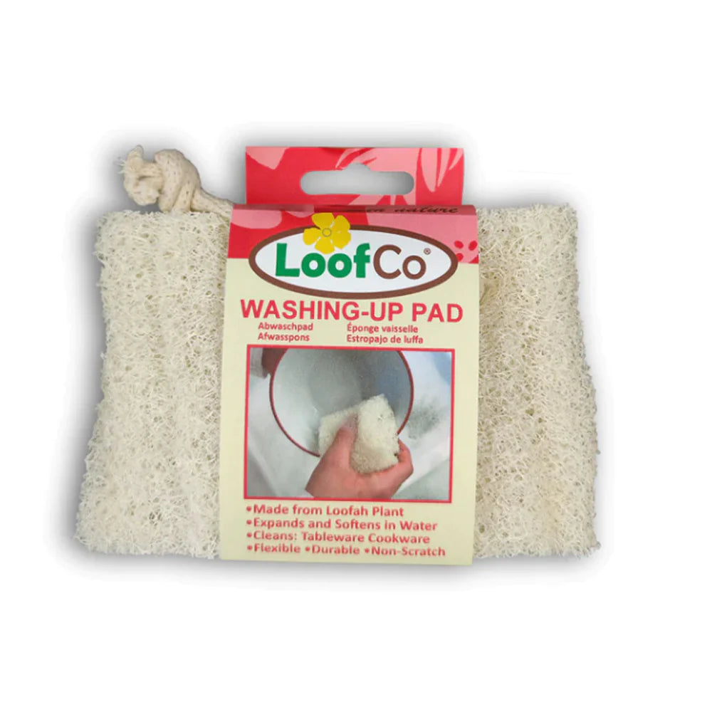Washing-Up Pad Single Made from Loof 43820B