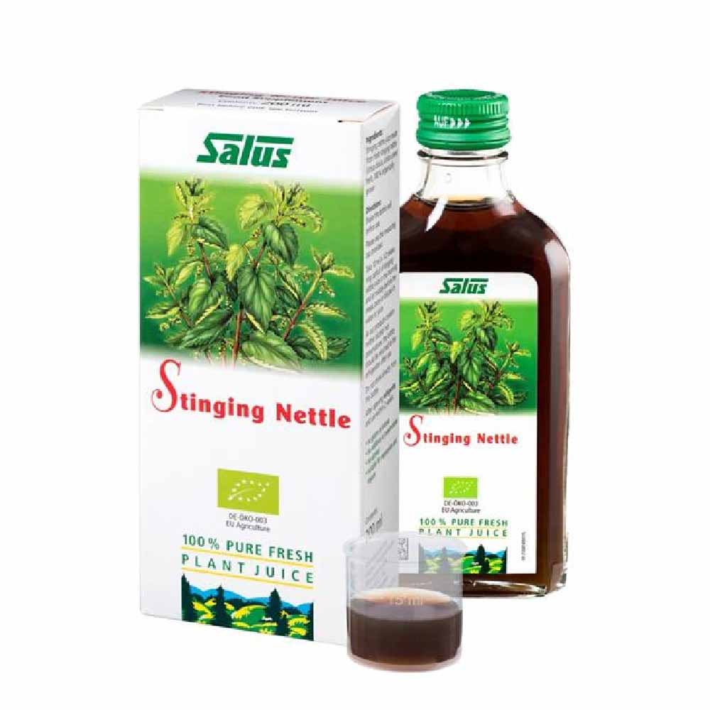 Stinging Nettle 16424B