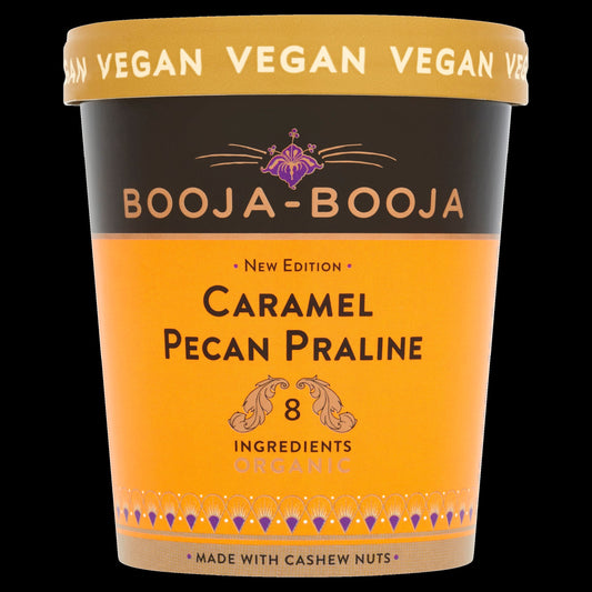 Caramel/Pecan/Praline Ice Cream (Org 12795B