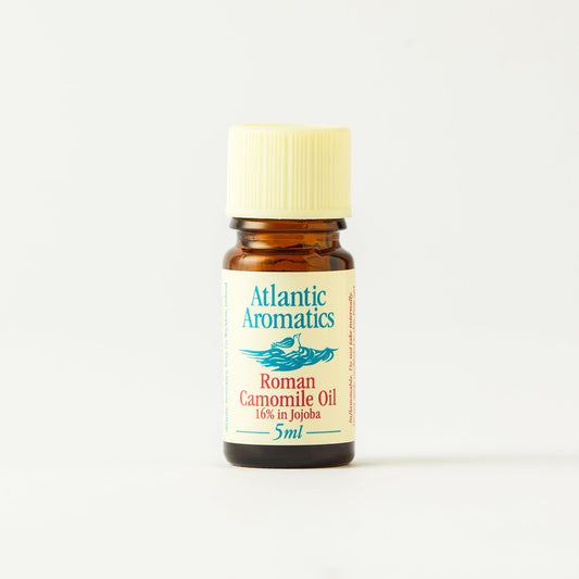Camomile Roman 16% (Org) 14516A