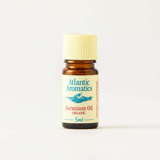 Geranium Bourbon (Rose Geranium) (Or 14528A
