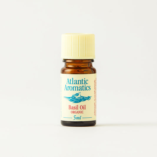 Basil Oil (Org) 14619A