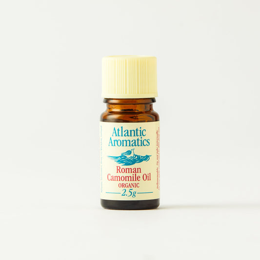 Camomile Roman (Org) 24551A