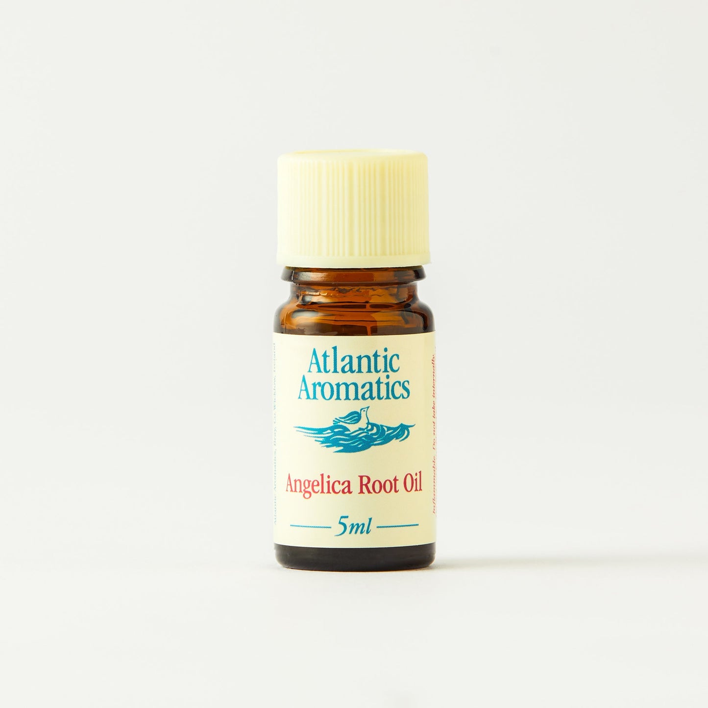 Angelica Root 29127B