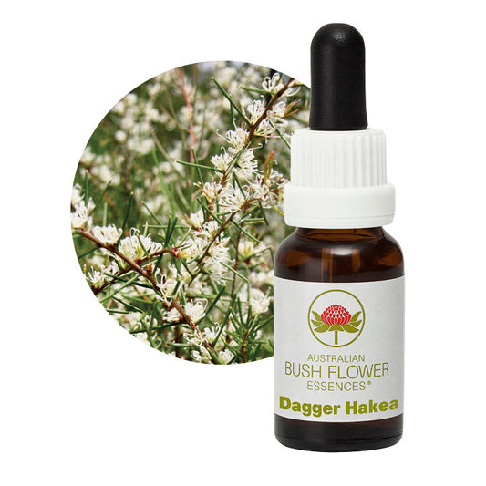 Dagger Hakea 30288B
