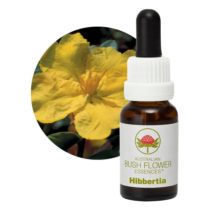 Hibbertia 31057B