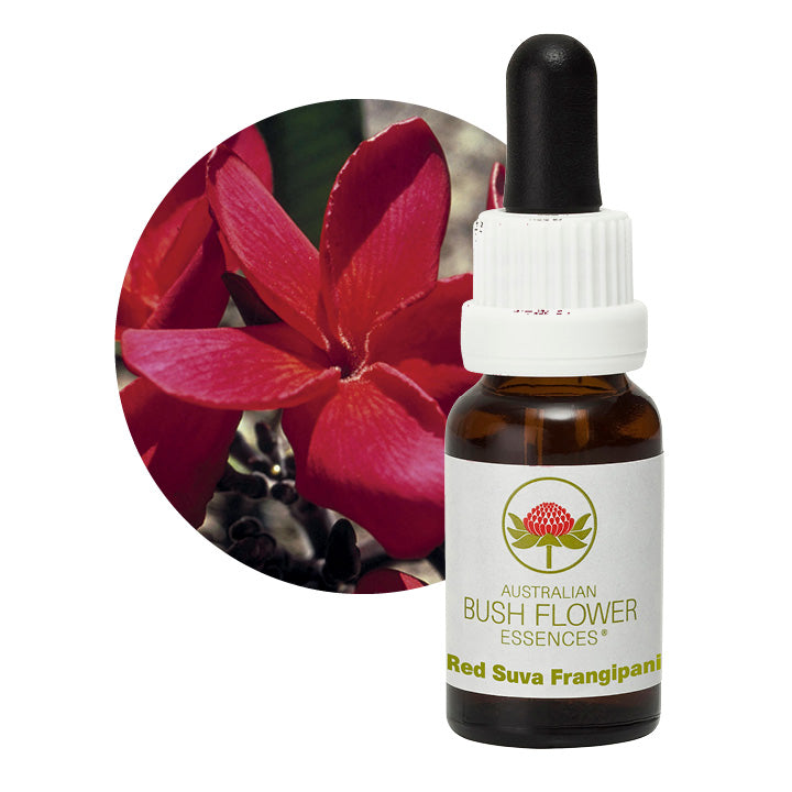 Red Suva Frangipani 31072B