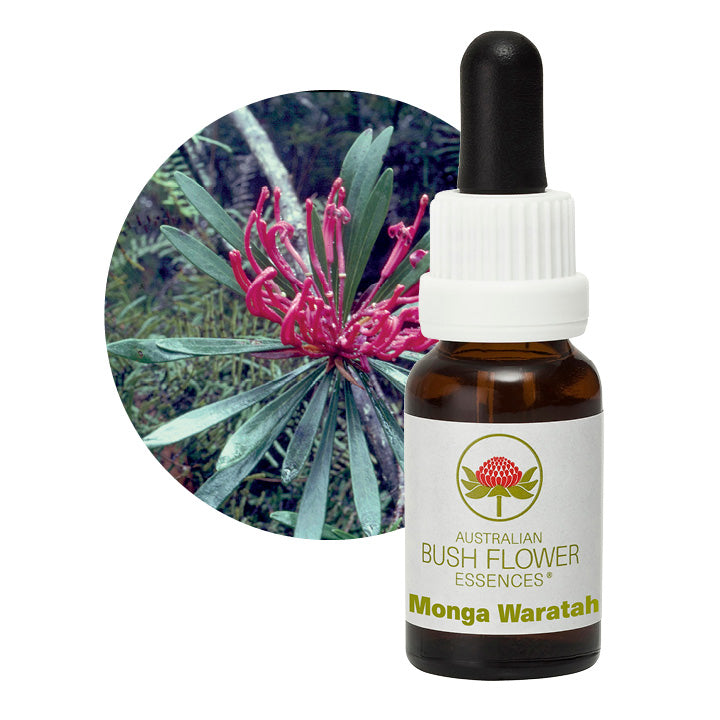 Monga Waratah 31089B