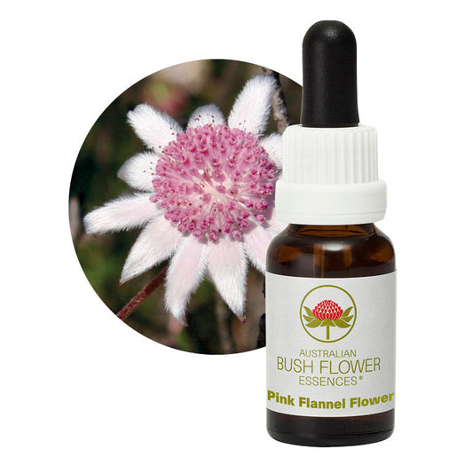 Pink Flannel Flower 31094B