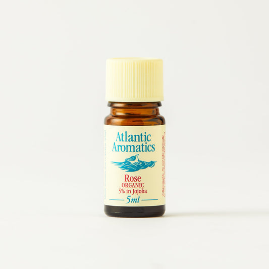 Rose 5% CO2 extract in jojoba (Org) 39554B