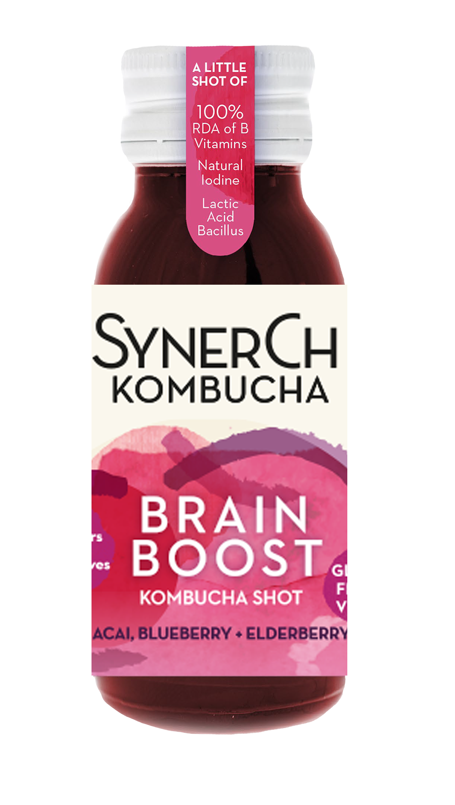 Brain Boost 46541B