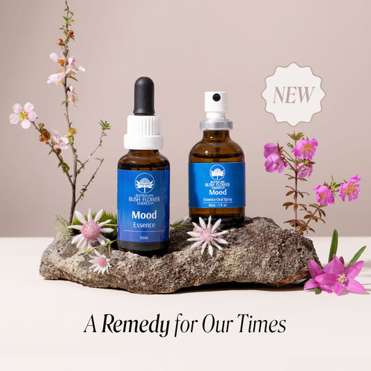 Finding Emotional Balance with ABFE Mood Essence