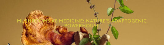 Mushrooms as Medicine: Nature’s Adaptogenic Powerhouse