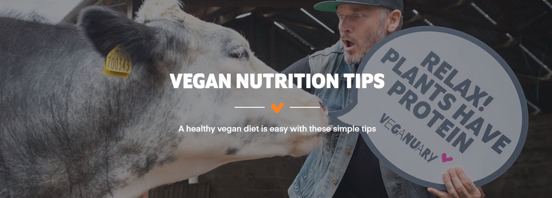 Vegan Nutrition Tips