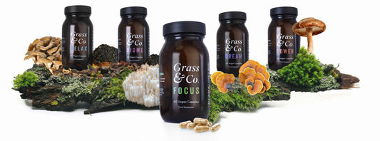 Unveiling the Power of Mushrooms: Grass & Co.'s Comprehensive Range for Holistic Wellness