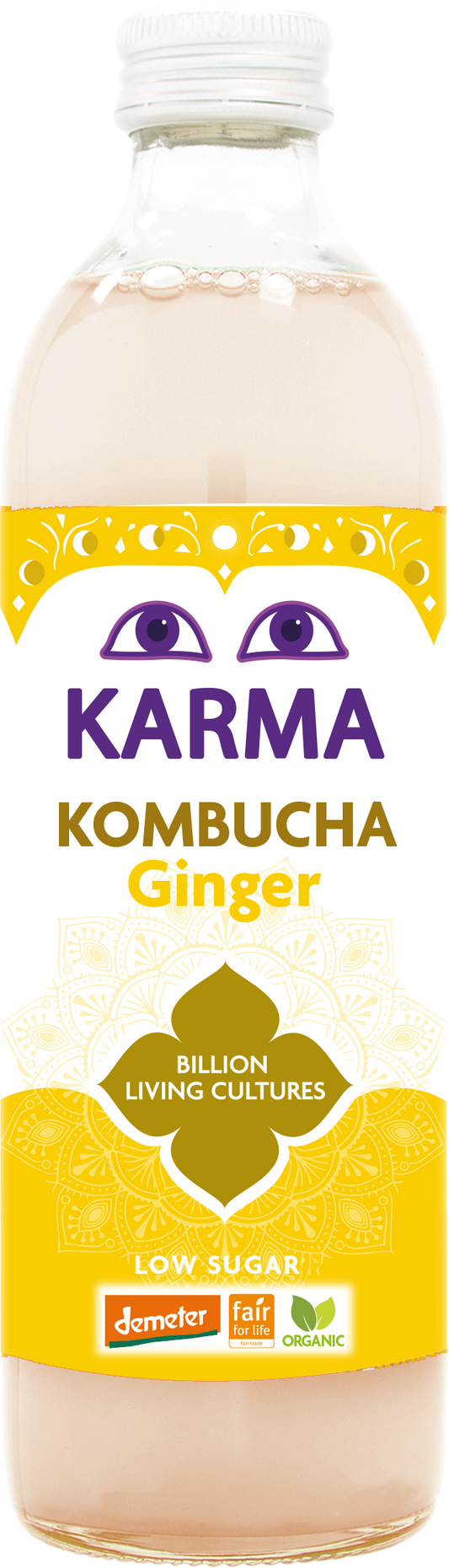 Raw Ginger Kombucha (Org) FT 40464A