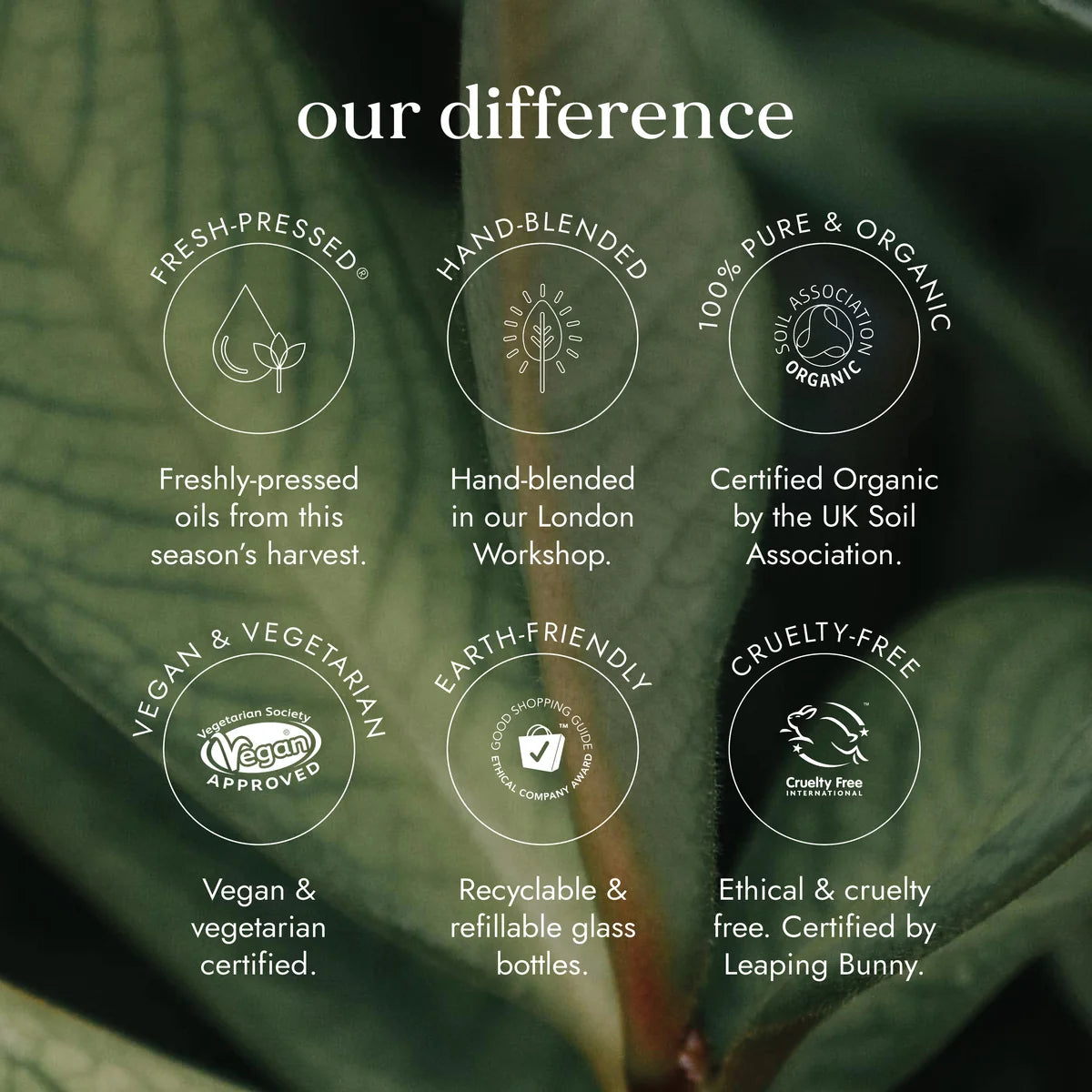 Castor Oil (Org) 40896A