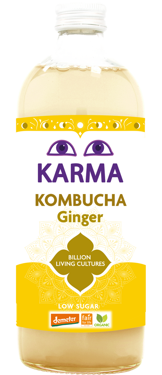 Raw Ginger Kombucha (Org) FT LARGE 43765A