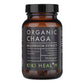 Chaga Mushroom Extract (Org) 46988A