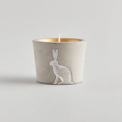 Hare - Winter Thyme 47374B