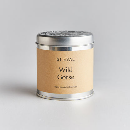 Wild Gorse 47528B