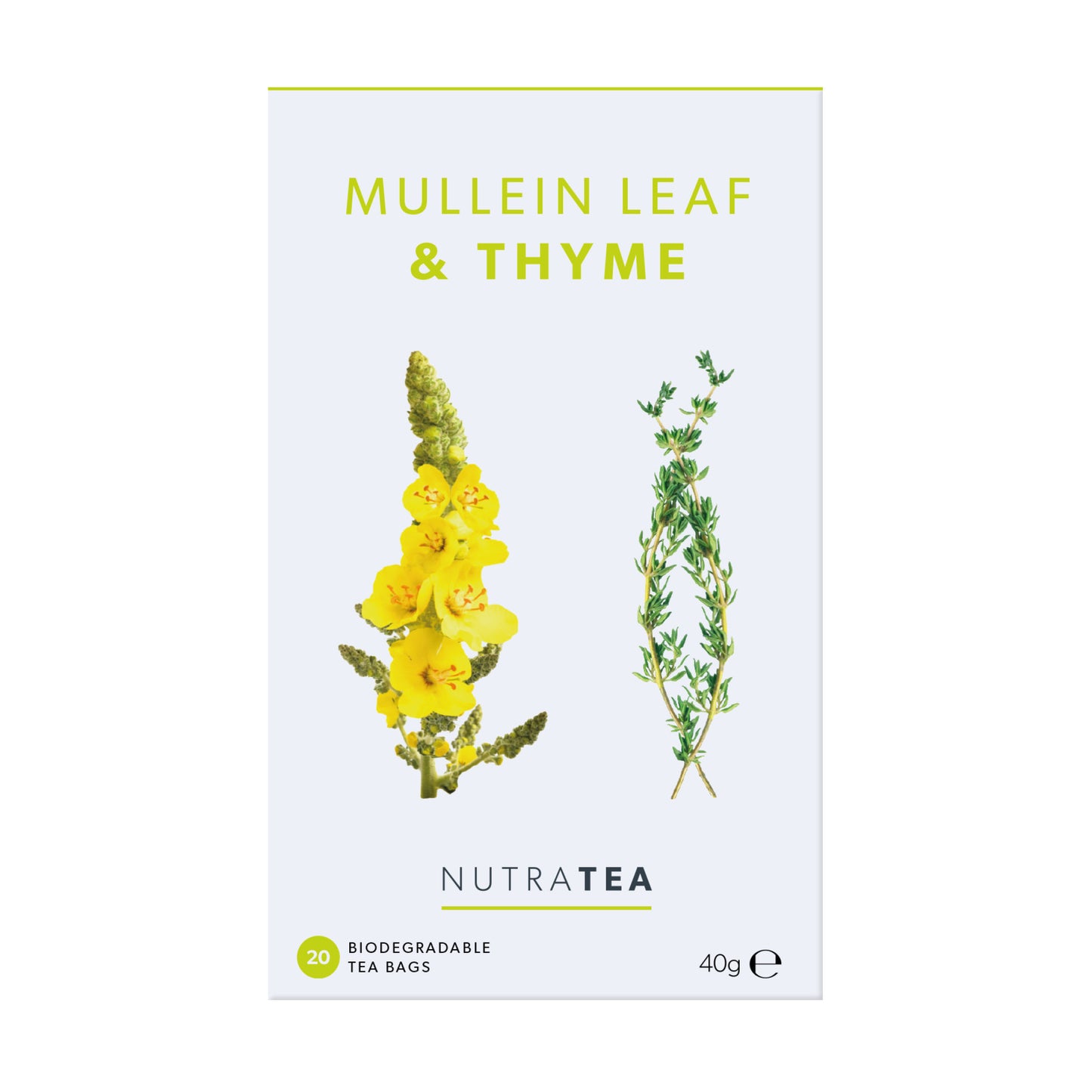 Mullein Leaf & Thyme 49311B