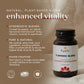 Turmeric C3 & Bioperine Extract 49347B