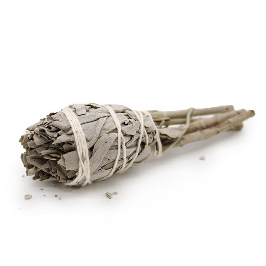 White Sage Smudge Torch Small 50676B