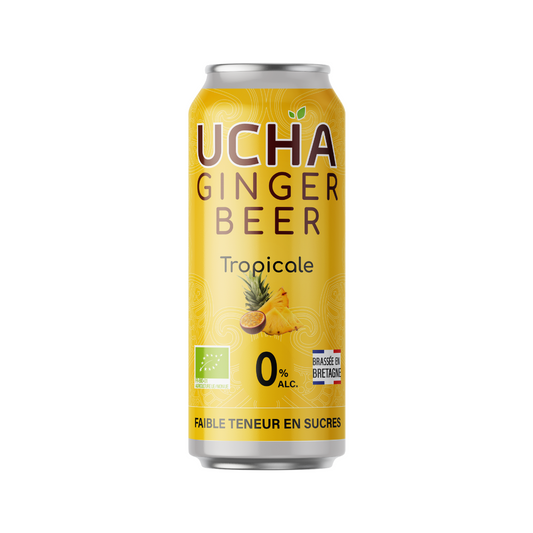Ginger Beer Tropical (Org) (DRS) 50839A