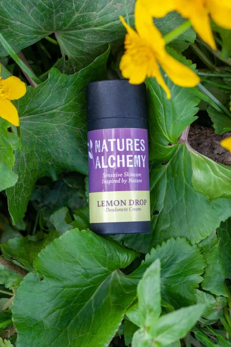 Lemon Deodorant Stick 50849B